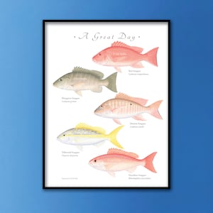 May include: A white background with the text "A Great Day." and illustrations of five different types of snapper fish. The fish are labeled with their common names and scientific names. The fish are drawn in a realistic style with detailed scales and fins.
