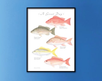 CUSTOM for JESSICA; 18"x24" giclee print with 5 Snappers; Red Snapper, Mangrove Snapper, Mutton Snapper, Yellowtail, Vermilion