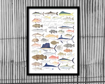 FRAMED 18x24 Gamefishes of the Gulf of Mexico poster; framed Gulf of Mexico fish poster, framed Gulf of Mexico poster, framed fish poster