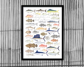 FRAMED 18x24 Gamefishes of the Gulf of Mexico poster; framed Gulf of Mexico fish poster, framed Gulf of Mexico poster, framed fish poster
