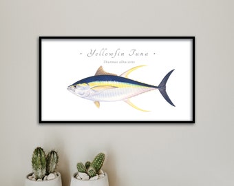 CUSTOM for JULIE; 26"x14" Yellowfin Tuna, Dolphinfish, and Hogfish giclee prints