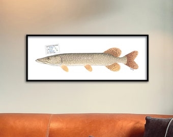 CUSTOM for NICOLETTE; 52"x20" giclee print with 45-inch Northern Pike illustration and unique Catch Notes stamp