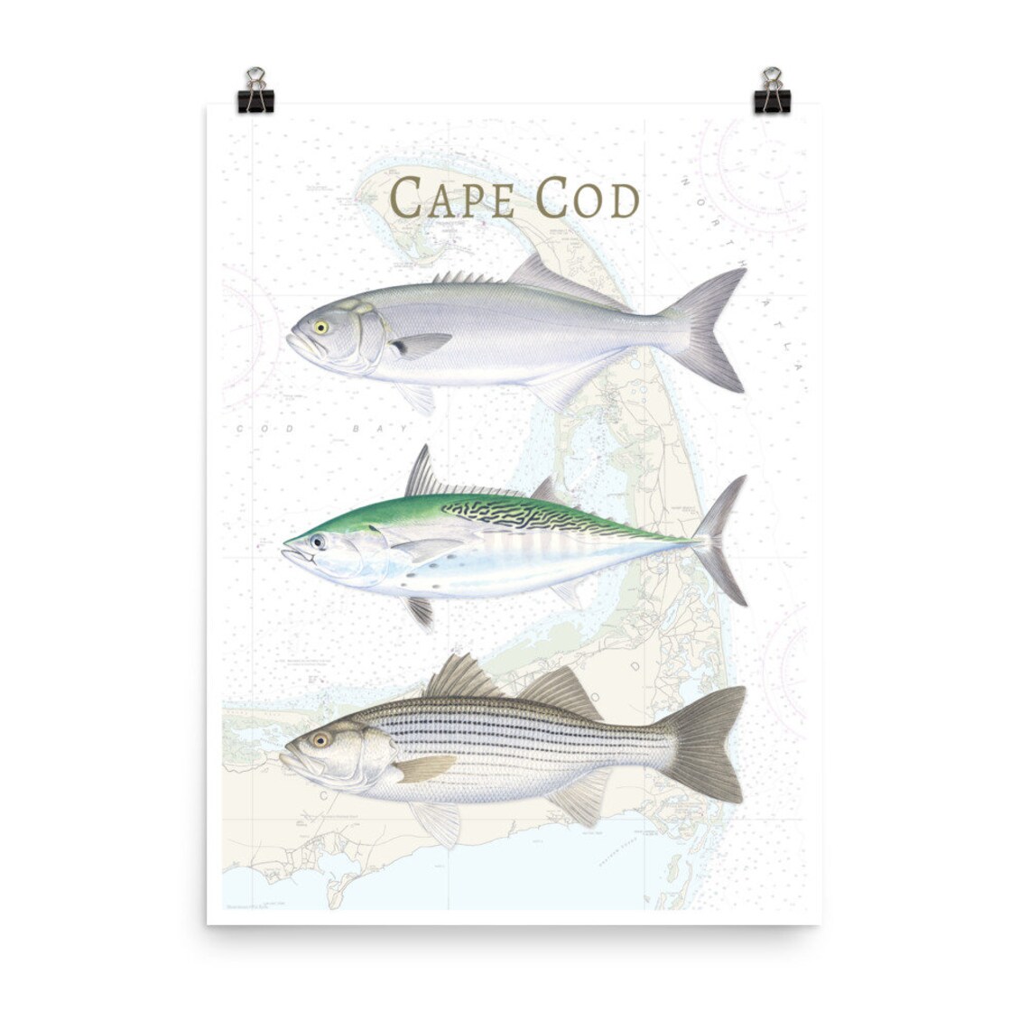 Cape Cod NOAA Chart Poster Cape Cod Nautical Chart Poster Etsy