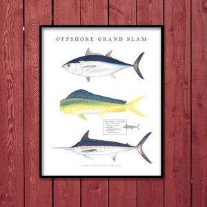 Puede incluir: Una ilustración de estilo vintage de un gran slam en alta mar, con un marlin azul, un delfín amarillo y un atún. La ilustración está enmarcada en negro y tiene un fondo blanco.