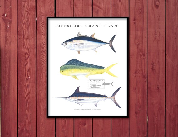 16x20 Offshore Grand Slam Poster; Bluefin Tuna, Dolphinfish, Blue