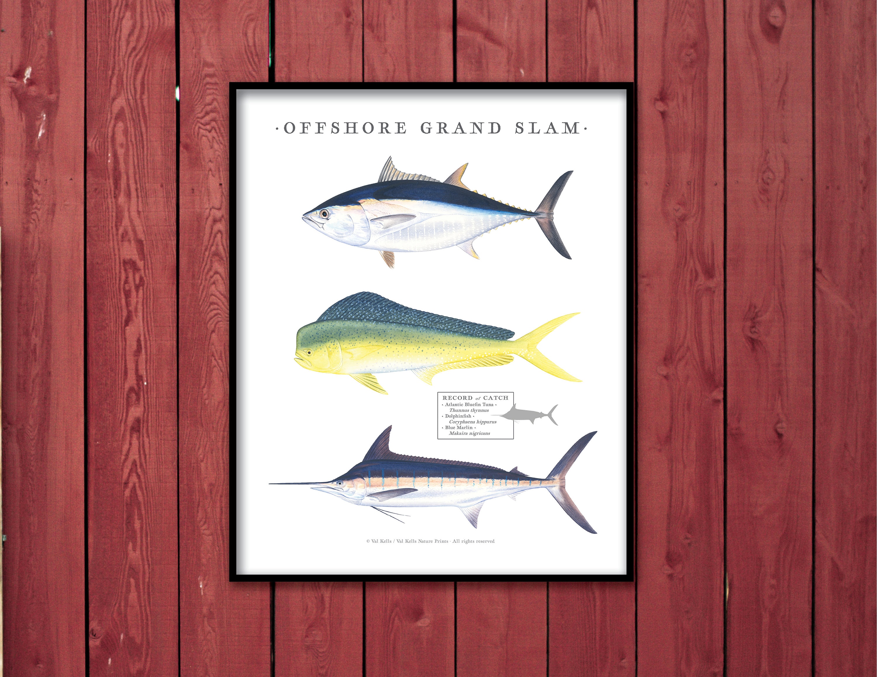 16x20 Offshore Grand Slam Poster; Bluefin Tuna, Dolphinfish, Blue