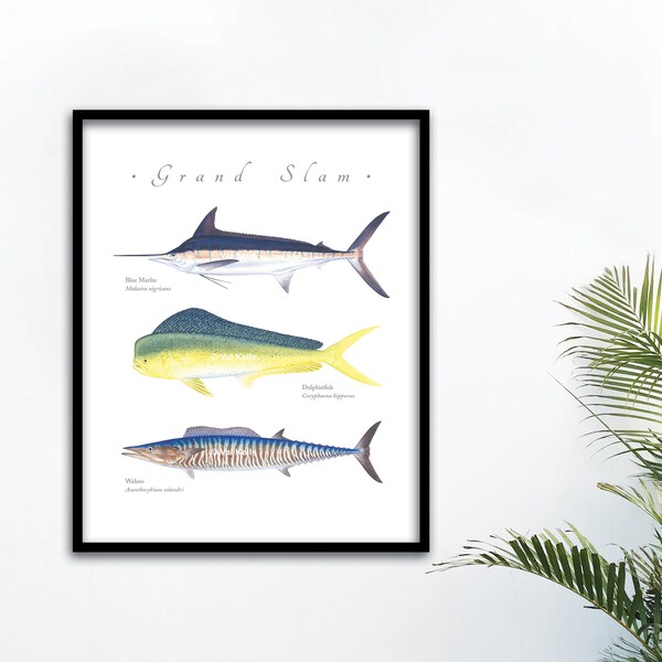 Blue Marlin Dolphinfish Wahoo grand slam giclee print; Dolphinfish giclee, Wahoo giclee, Marlin giclee, Grand Slam giclee, fish print