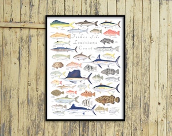 18x24 Fishes of the Louisiana Coast poster, Louisiana fish poster, Louisiana coast poster