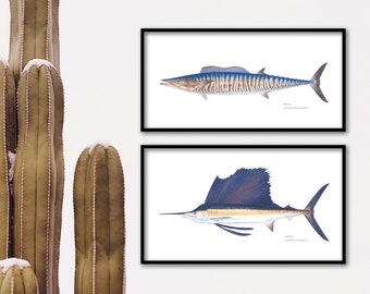 Sailfish and Wahoo giclee prints; Sailfish giclee, Wahoo giclee, offshore fish giclee, fish print