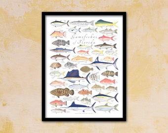 18x24 FRAMED Gamefishes of Florida poster; framed Florida fishes poster; framed Florida poster