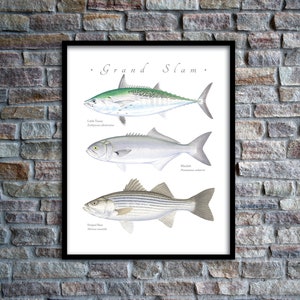 Bass Fish Art Print Line Dance 5 x 7 inch Giclee by Roby Baer PSA