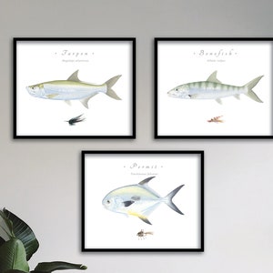 May include: Three framed prints of fish illustrations. The top left print features a Tarpon, the top right print features a Bonefish, and the bottom print features a Permit. Each print includes the common and scientific name of the fish.