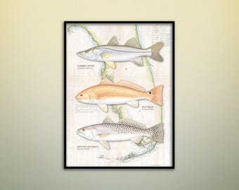 May include: A framed print showing illustrations of three fish: a Common Snook, a Red Drum, and a Spotted Seatrout. The fish are displayed against a vintage map background, with each fish's name below. The print is enclosed in a black frame.
