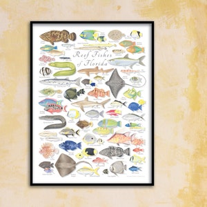 18x24 Reef Fishes of Florida poster, Florida Keys poster, Florida fish poster, reef fish poster, coral reef poster, Florida poster image 1