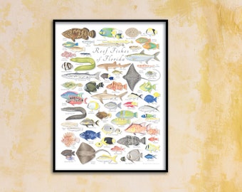 18x24 Reef Fishes of Florida poster, Florida Keys poster, Florida fish poster, reef fish poster, coral reef poster, Florida poster