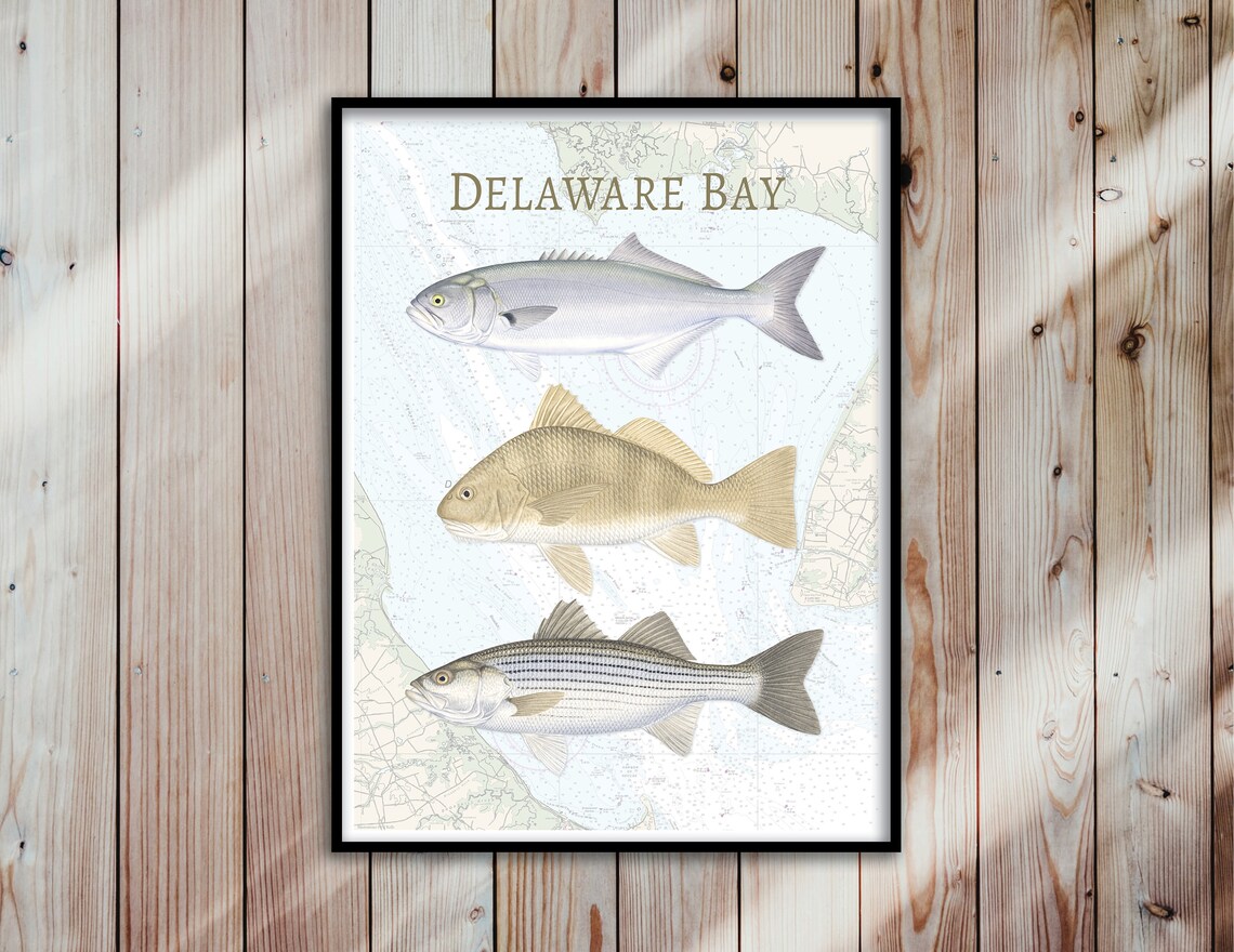 Delaware Bay NOAA Chart Poster Delaware Bay Poster Delaware Etsy