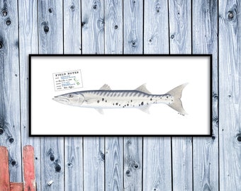 CUSTOM for CARY; 32"x14" giclee print with 25.75-inch Barracuda and unique Field Notes stamp