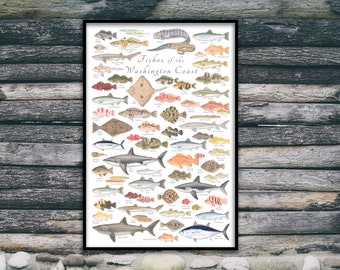 24x36 Fishes of the Washington Coast poster, Washington Coast fish poster, Washington fish print, Washington fishes