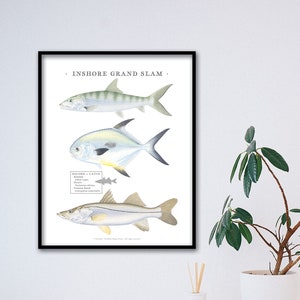 11x14 IGFA Inshore Grand Slam print; Bonefish, Permit, Snook; unique, high-quality print