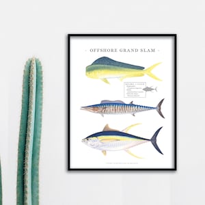 Puede incluir: Una ilustración en blanco y negro de tres peces, un delfín, un wahoo y un atún, con el texto "OFFSHORE GRAND SLAM" en la parte superior. La ilustración está sobre un fondo blanco.