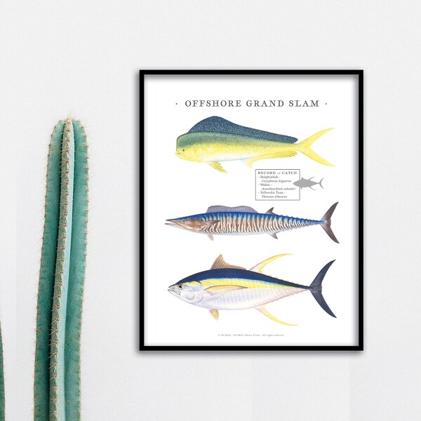 11x14 Offshore IGFA Grand Slam, print; Dolphinfish, Wahoo, Yellowfin Tuna; high-quality, unique print