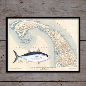 24x36 Fishes of the Washington Coast Poster, Washington Coast Fish Poster,  Washington Fish Print, Washington Fishes -  Canada