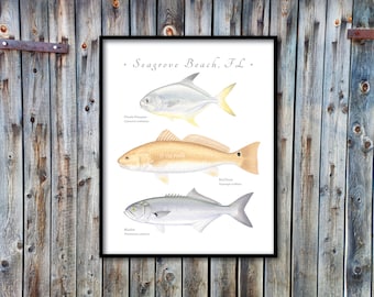 CUSTOMIZABLE Florida Pompano, Red Drum, Bluefish giclee in 4 sizes, customize with your town, gamefish giclee, Florida fish print