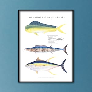 Puede incluir: Un póster con el texto "OFFSHORE GRAND SLAM" e ilustraciones de tres peces: un delfín amarillo y azul, un wahoo azul y marrón y un atún amarillo y azul.