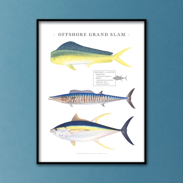 18x24 Offshore IGFA Grand Slam poster; Dolphinfish, Wahoo, Yellowfin Tuna Grand Slam poster; 18x24 IGFA Grand slam poster