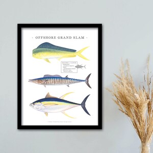 Puede incluir: Una ilustración enmarcada de un gran slam en alta mar, con un pargo de cola amarilla, un wahoo y un atún de aleta amarilla. La ilustración está en un marco negro y tiene un fondo blanco.
