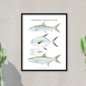Puede incluir: Una impresión enmarcada de una ilustración que representa tres peces, una barracuda, un permit y un tarpon, con el texto "Inshore Grand Slam" en la parte superior. La impresión incluye una tabla de capturas récord con los nombres de los peces y sus pesos.