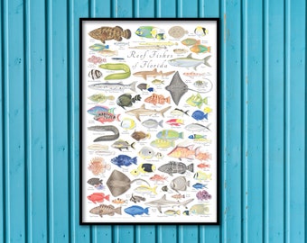 24x36 Reef Fishes of Florida poster; Florida reef fish poster; Florida fish poster