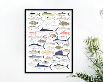 18x24 Fishes of the North Carolina Coast poster, North Carolina fish poster, North Carolina poster, fish poster