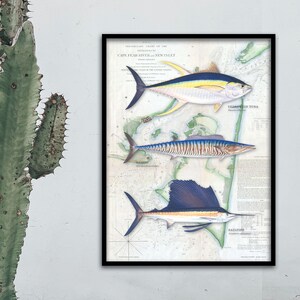 18x24 Geelvintonijn, Wahoo, Zeilvis met vintage Cape Fear nautische kaart; Bald Head-poster, grand slam-poster, vintage NOAA-grafiek