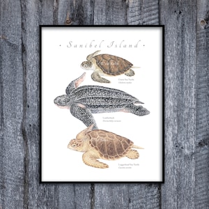 Green Sea Turtle, Leatherback, Loggerhead giclee print; CUSTOMIZABLE, Green turtle giclee, Leatherback & Loggerhead giclee, turtle print