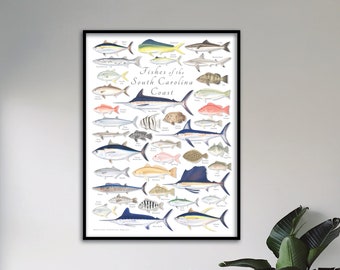 18x24 Fishes of the South Carolina Coast poster, South Carolina fishes, South Carolina poster