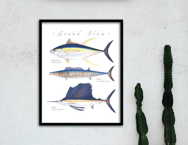 Download Wahoo Giclee Sailfish Giclee Fish Print Wahoo Yellowfin Sailfish Grand Slam Giclee Print Yellowfin Giclee Grand Slam Giclee Giclee Art Collectibles Deshpandefoundationindia Org