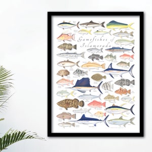 FRAMED 18x24 Gamefishes of Islamorada poster, Islamorada framed gamefish poster, framed Islamorada Gamefish print