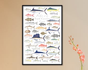 24x36 Fishes of the South Carolina Coast poster; South Carolina Coast fish poster;  South Carolina marine fishes poster