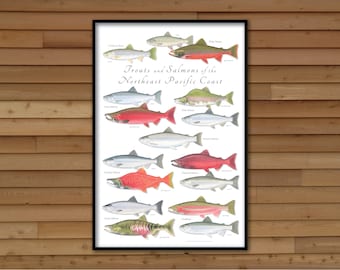 24x36 Trouts and Salmons of the Northeast Pacific Coast poster; Trout poster; Salmon poster; Pacific Ocean poster