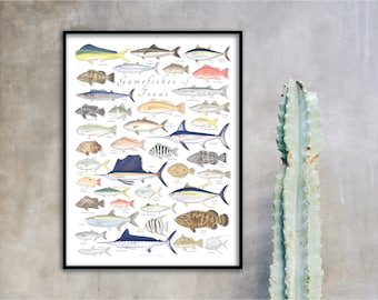 18x24 Gamefishes of the Texas Coast poster, Texas Coast poster, Texas Coast print, Texas Coast fishes