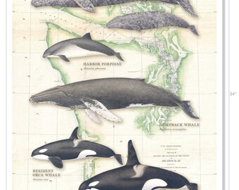 クジラページ il_340x270.3688668410_b1kk.jpg