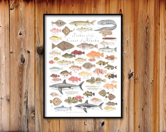 18x24 Fishes of the Coast of Alaska poster; Fishes of Alaska poster; Alaska Fish poster