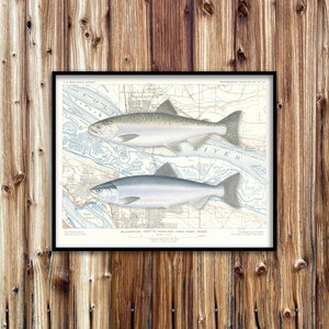 20x16 Chinook salmon & Sockeye salmon with vintage Columbia River NOAA chart poster; Chinook poster; Sockeye poster; Vancouver, Portland