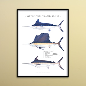 Puede incluir: Una ilustración enmarcada de tres peces vela, un marlin blanco, un marlin azul y un pez vela del Atlántico. La ilustración se titula "OFFSHORE GRAND SLAM" e incluye un registro de capturas para cada pez.