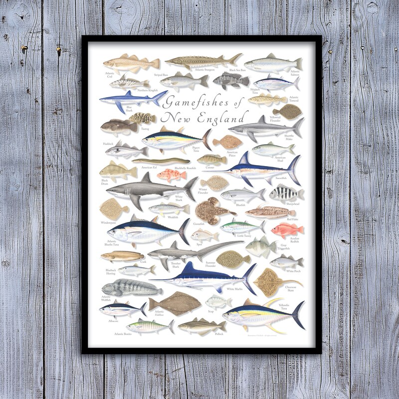 New England Poster - Etsy