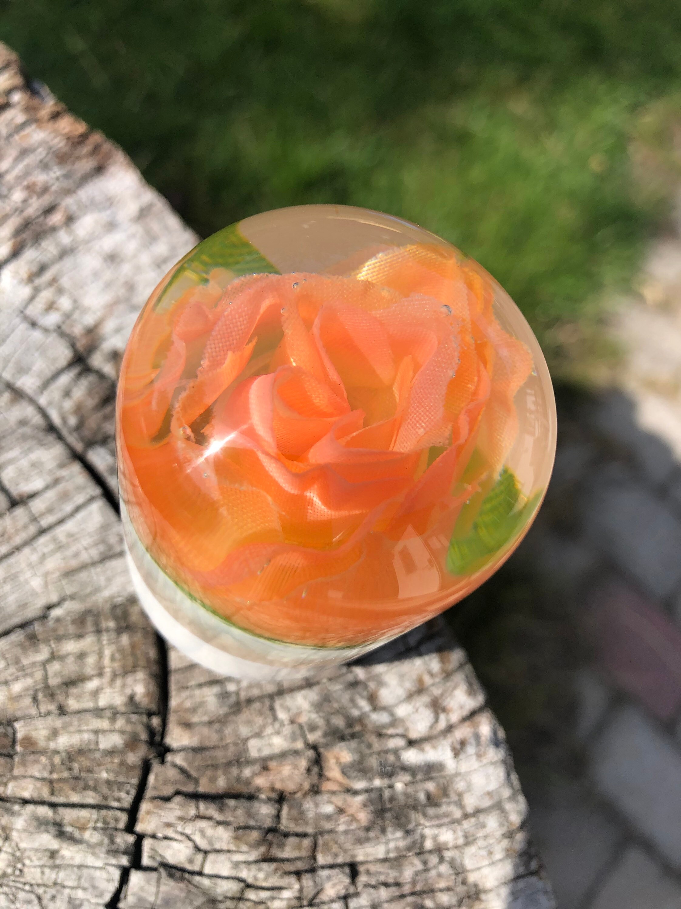 The Forever Rose | Etsy