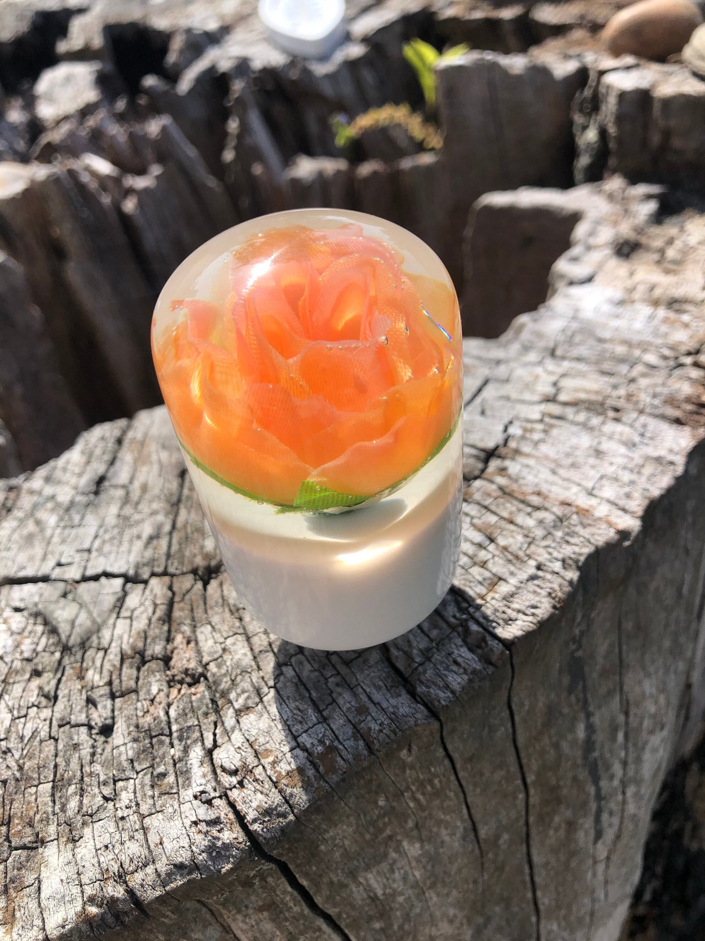 The Forever Rose | Etsy