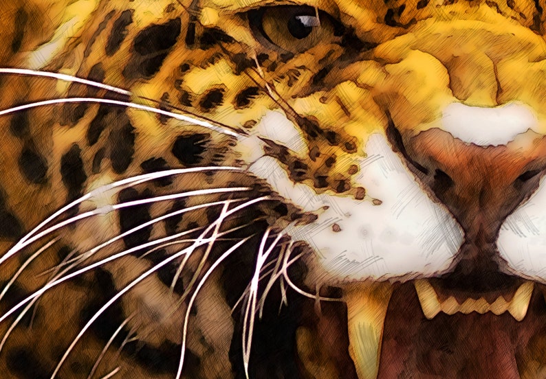 Art of jaguar