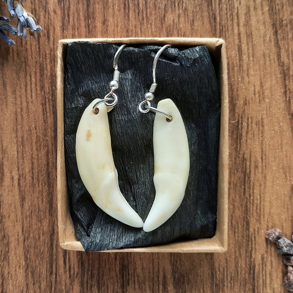 Handmade Fox Teeth Sterling Silver Earrings | Natural Cruelty Free Canine Bone Cleaned  | Witch Jewellery | Pagan Jewelry | Animal Totem